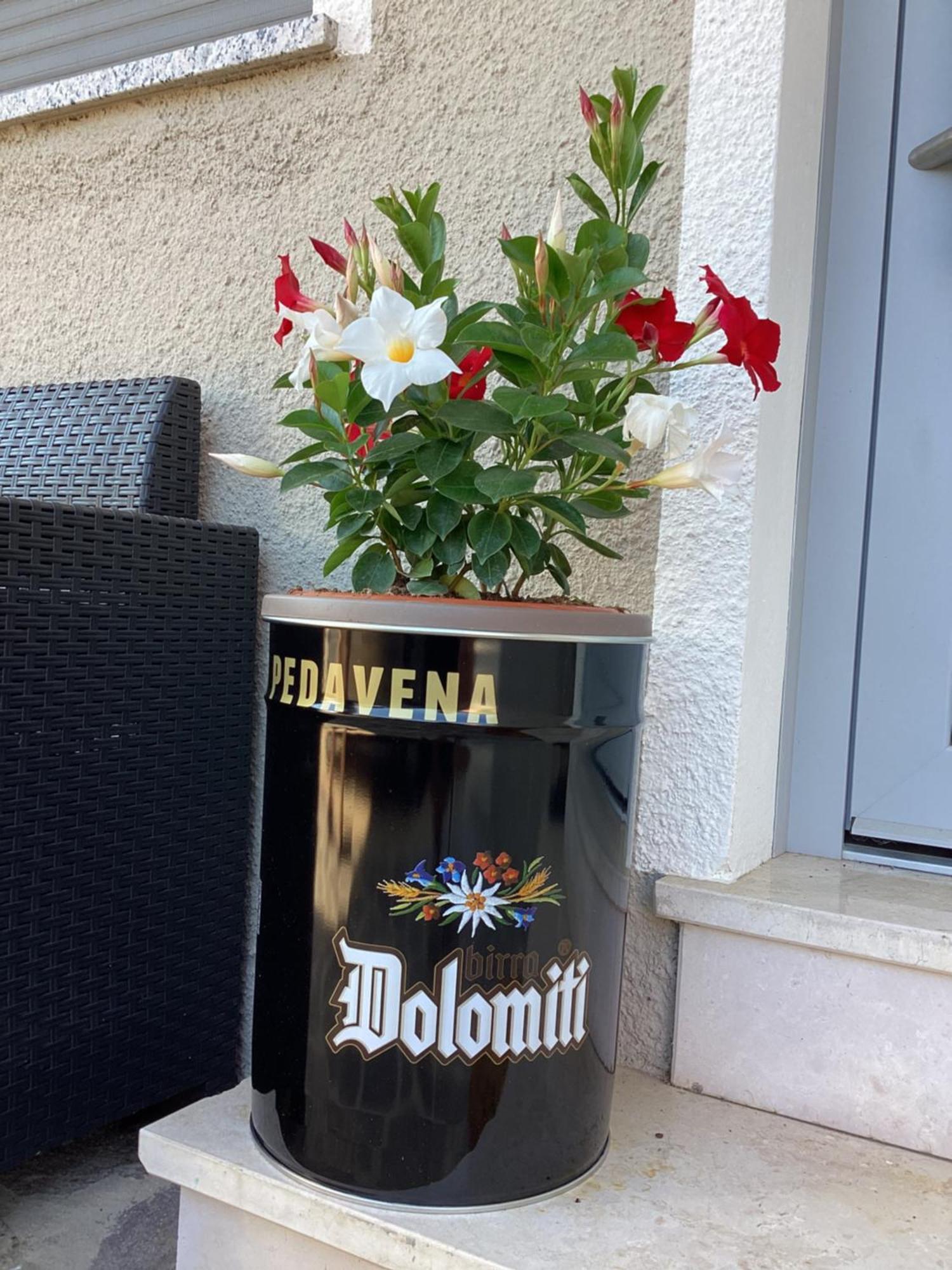 דירות פדבנה La Stella Delle Dolomiti מראה חיצוני תמונה